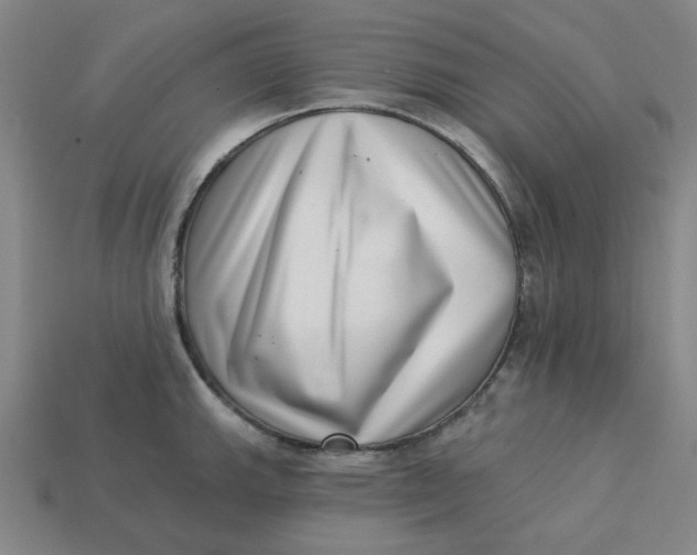 X0000113321143200910051119