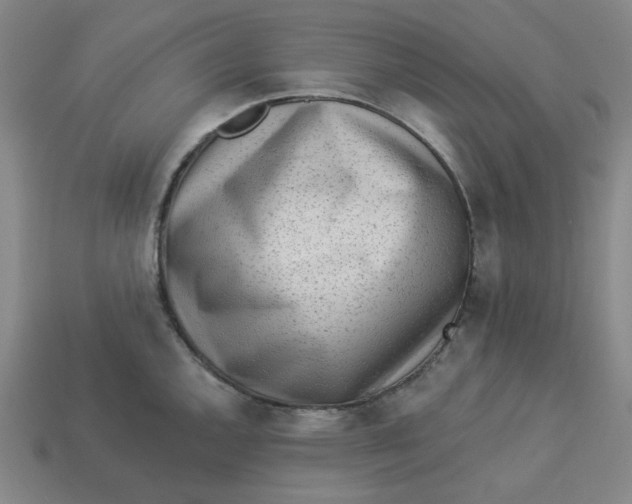 X0000113321144200910051119