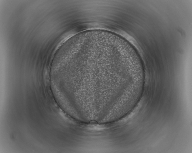 X0000113321145200910051119