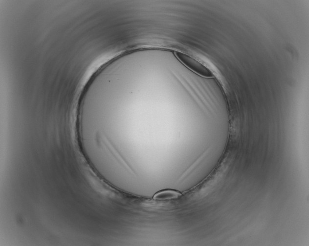 X0000113321146200910051120