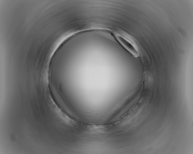 X0000113321148200910051120