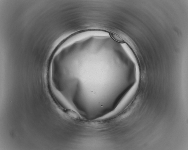 X0000113321149200910051120