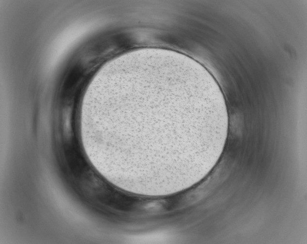 X0000113321150200910051120