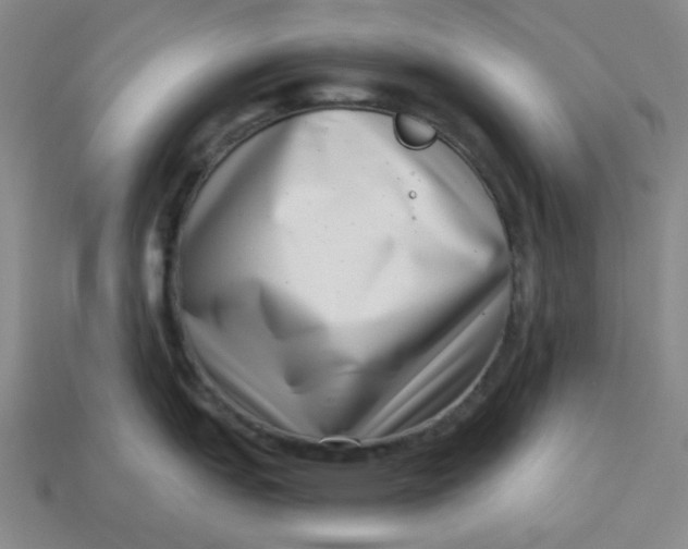 X0000113321151200910051120