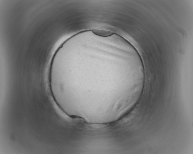 X0000113321152200910051120