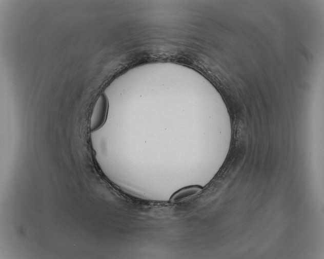 X0000113321153200910051119