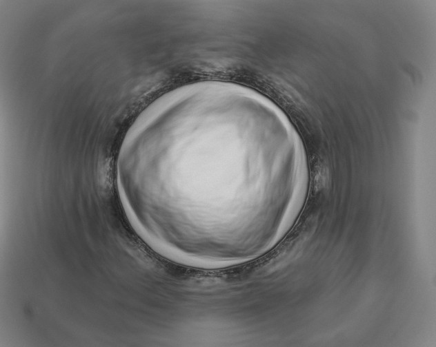 X0000113321156200910051119