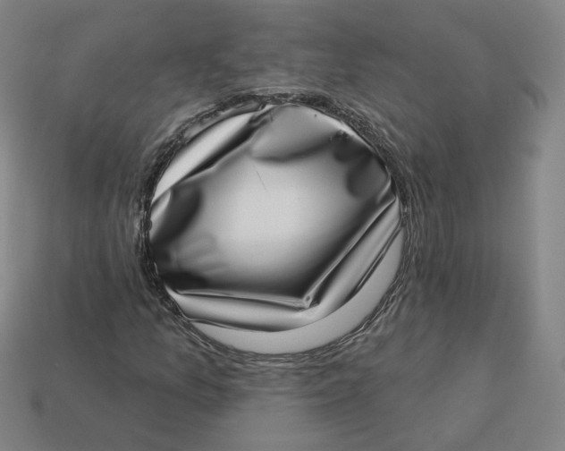 X0000113321157200910051119