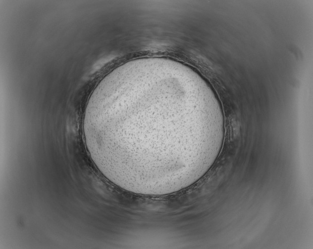 X0000113321158200910051119