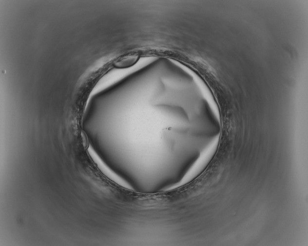 X0000113321159200910051119