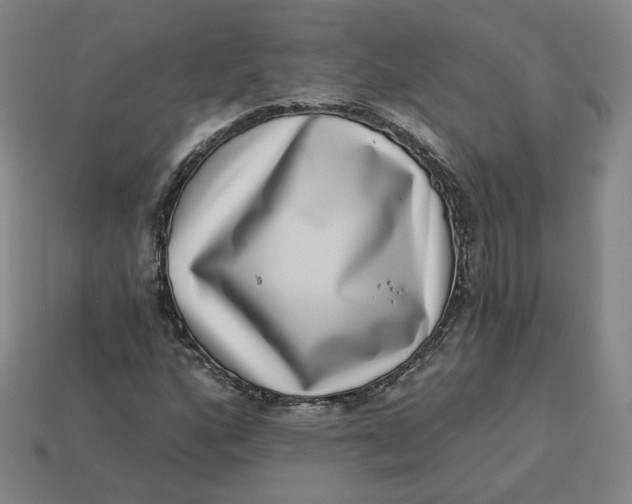 X0000113321160200910051119