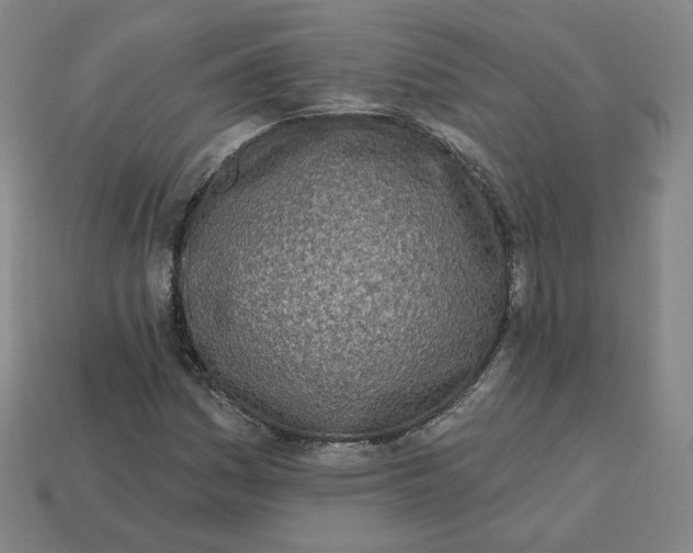 X0000113321161200910051119