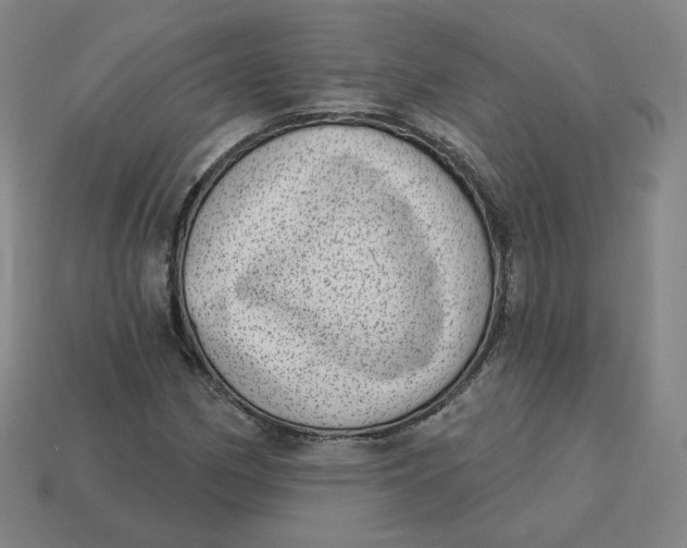 X0000113321162200910051119