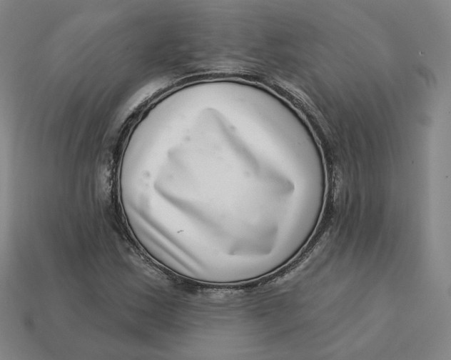 X0000113321163200910051119