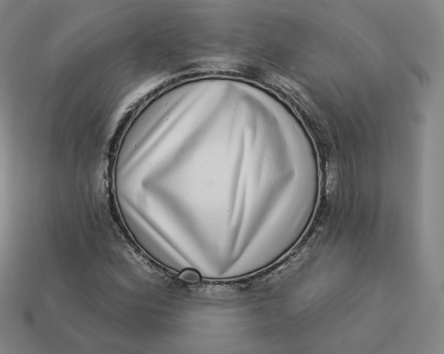 X0000113321164200910051119