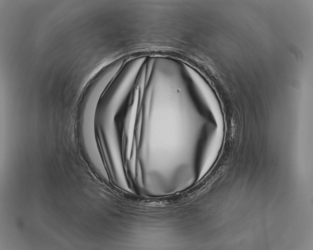 X0000113321165200910051119