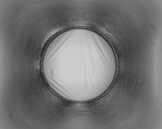 X0000113321166200910051119