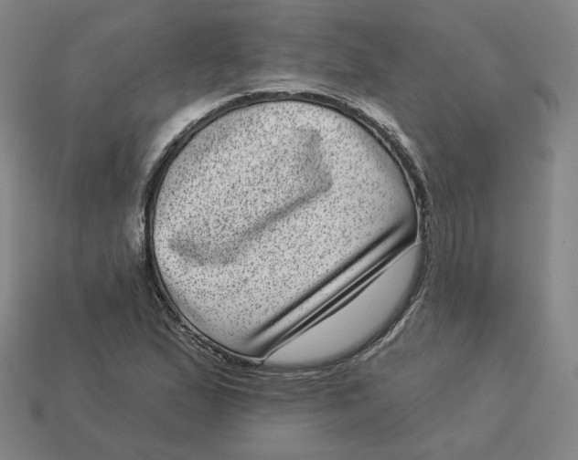 X0000113321167200910051119