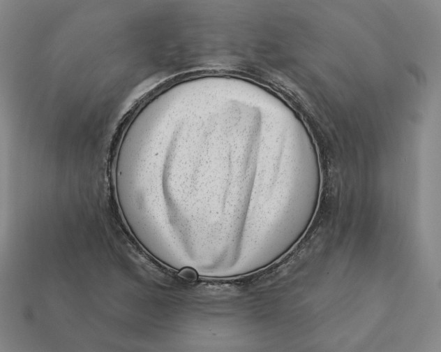 X0000113321168200910051119