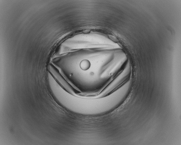 X0000113321169200910051119