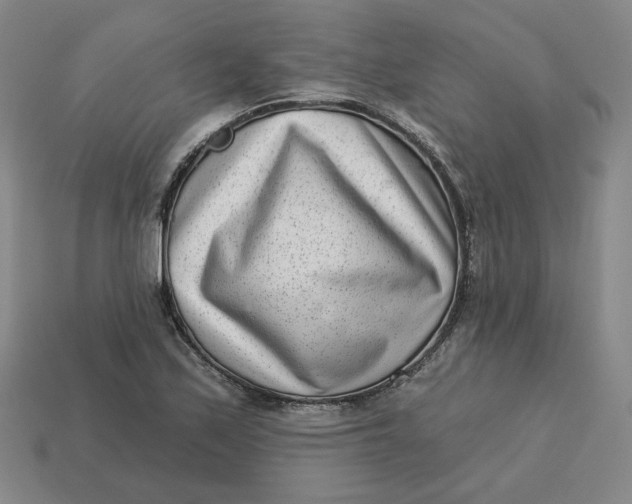 X0000113321171200910051119