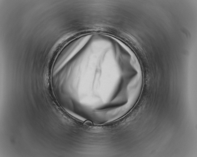 X0000113321172200910051119