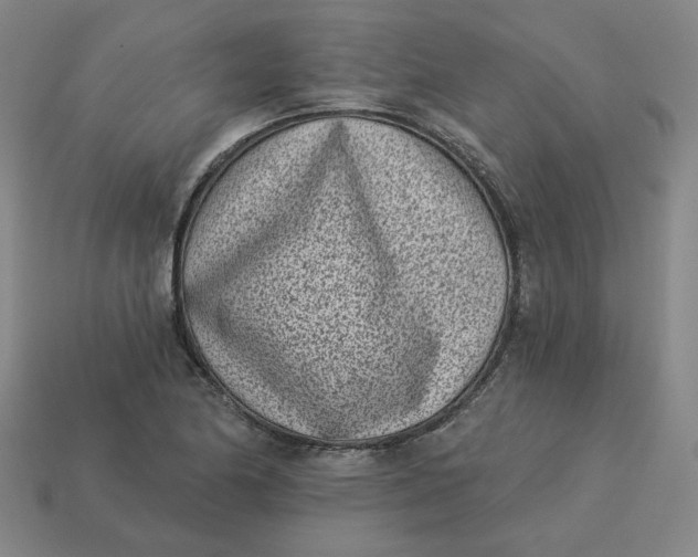 X0000113321174200910051119