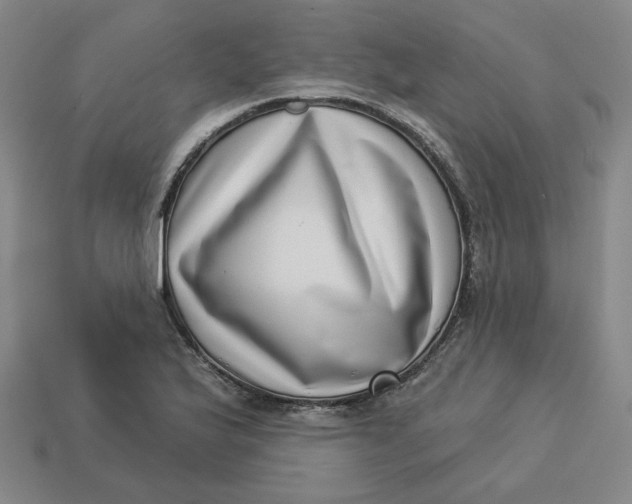 X0000113321175200910051119