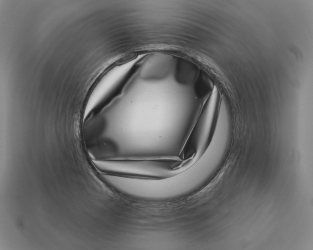 X0000113321177200910051119