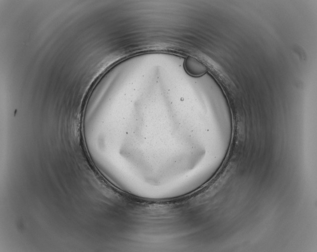 X0000113321178200910051119