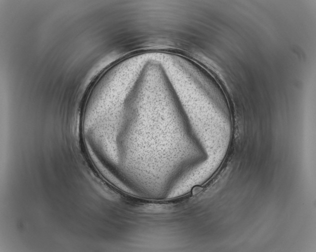 X0000113321179200910051118