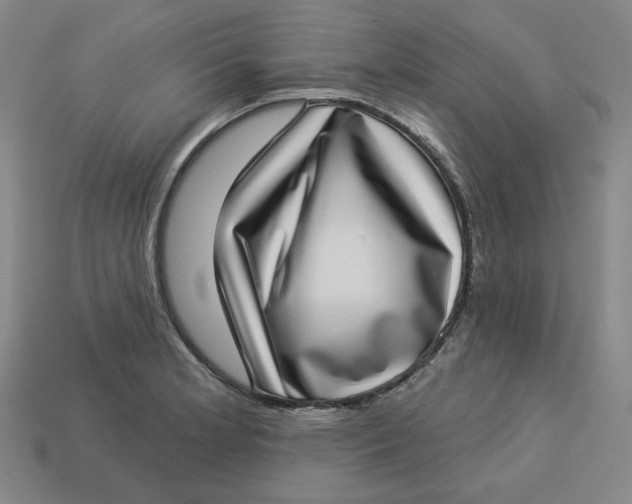 X0000113321181200910051118