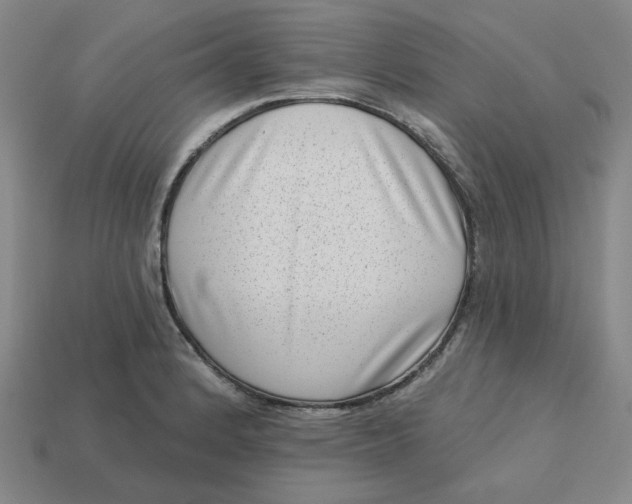 X0000113321184200910051118