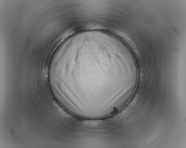 X0000113321185200910051118