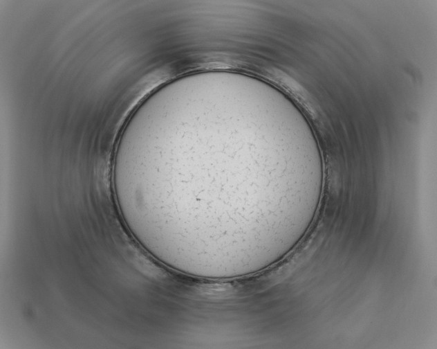 X0000113321186200910051118