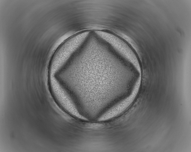 X0000113321187200910051118