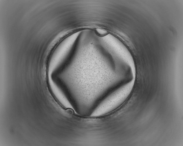 X0000113321188200910051118