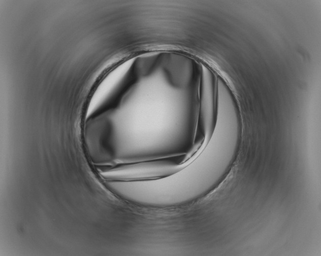 X0000113321189200910051118