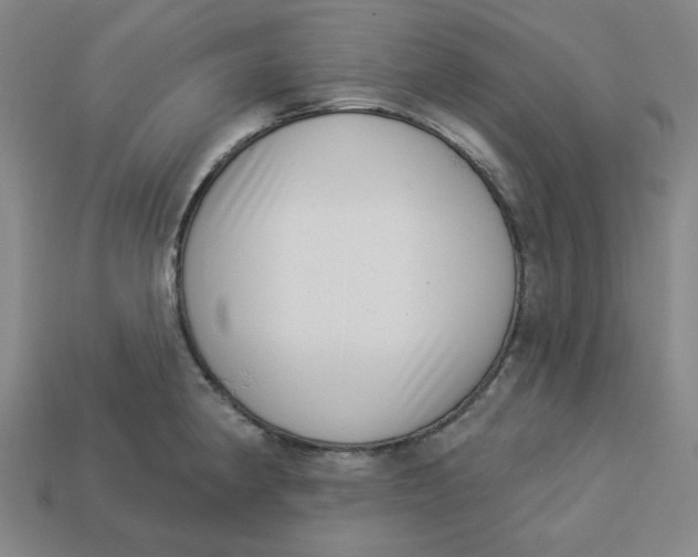 X0000113321190200910051118