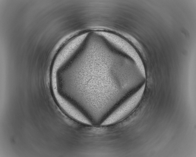 X0000113321191200910051118