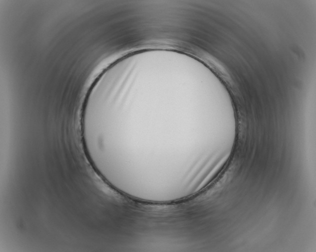 X0000113321192200910051118