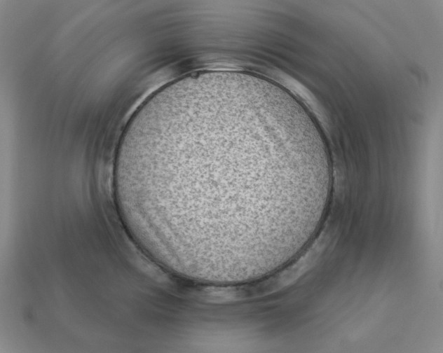 X0000113321194200910051118