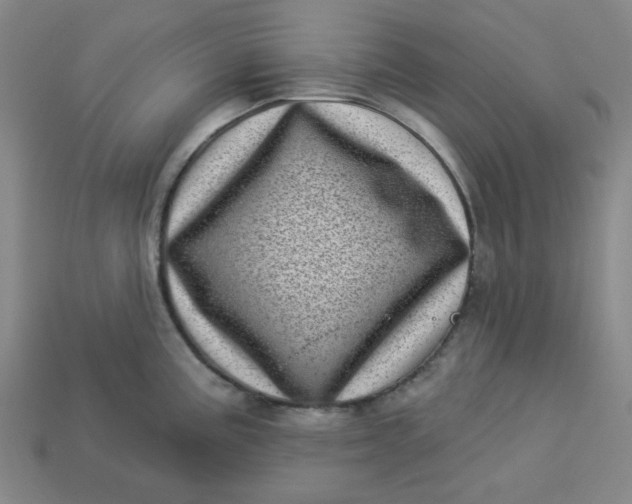 X0000113321195200910051118