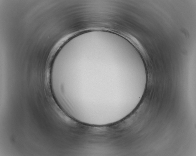 X0000113321196200910051118