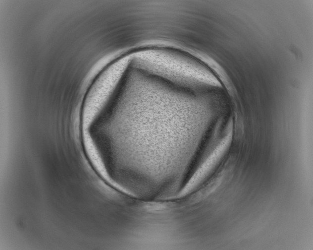 X0000113321199200910051118