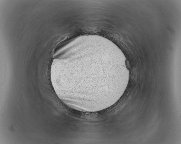 X0000113321201200910051118