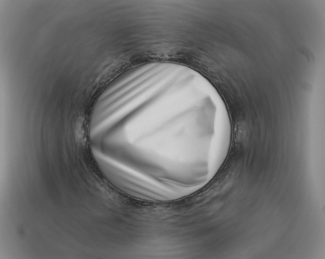 X0000113321202200910051118