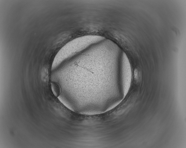 X0000113321203200910051118