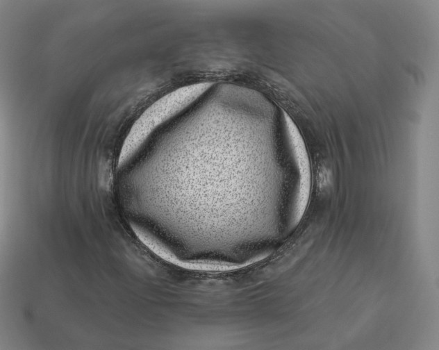 X0000113321204200910051118