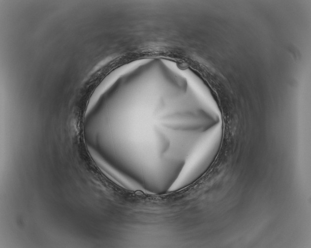 X0000113321206200910051118